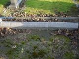 image of grave number 238127